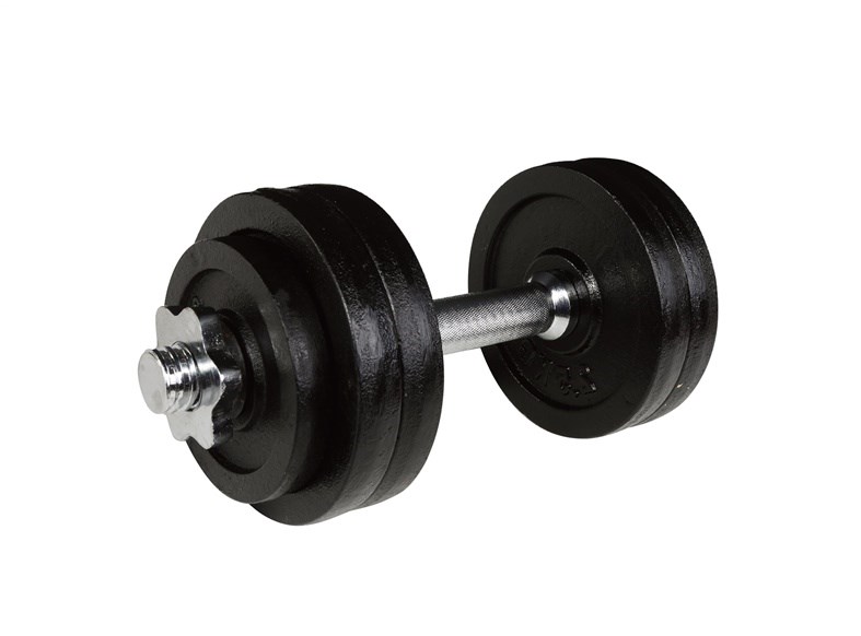 No name 15KG CAST IRON DUMBBELL