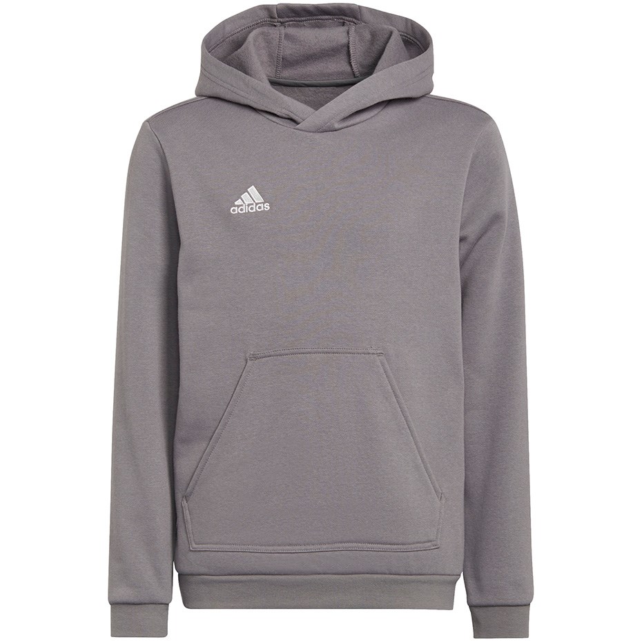 Adidas Entrada 22 Hoody grey H57515