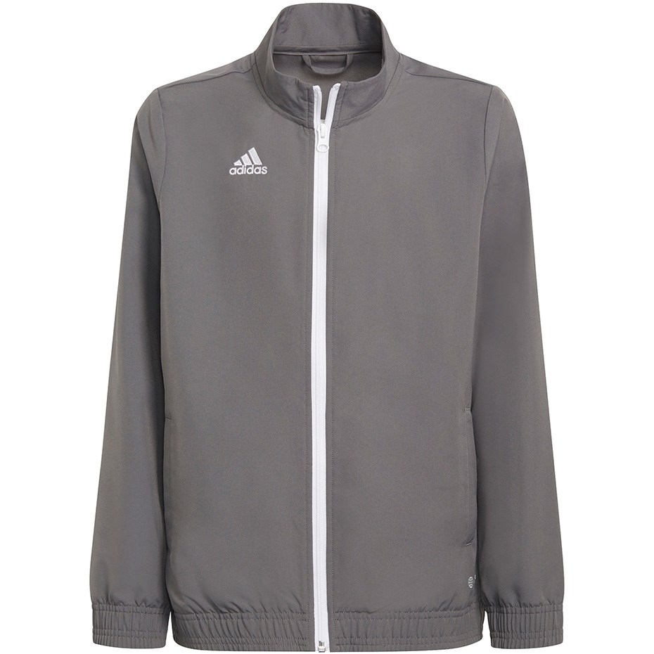 Adidas  Entrada 22 Presentation Jacket grey