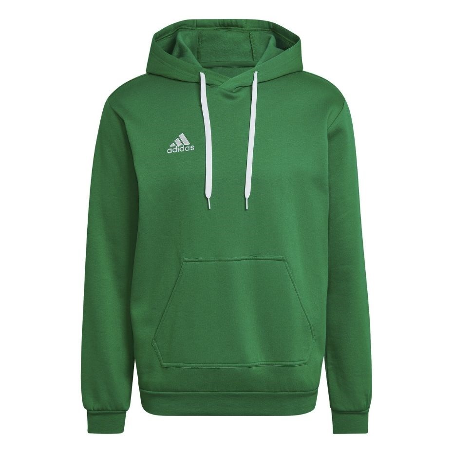 Adidas  Entrada 22 Sweat Hoodie green