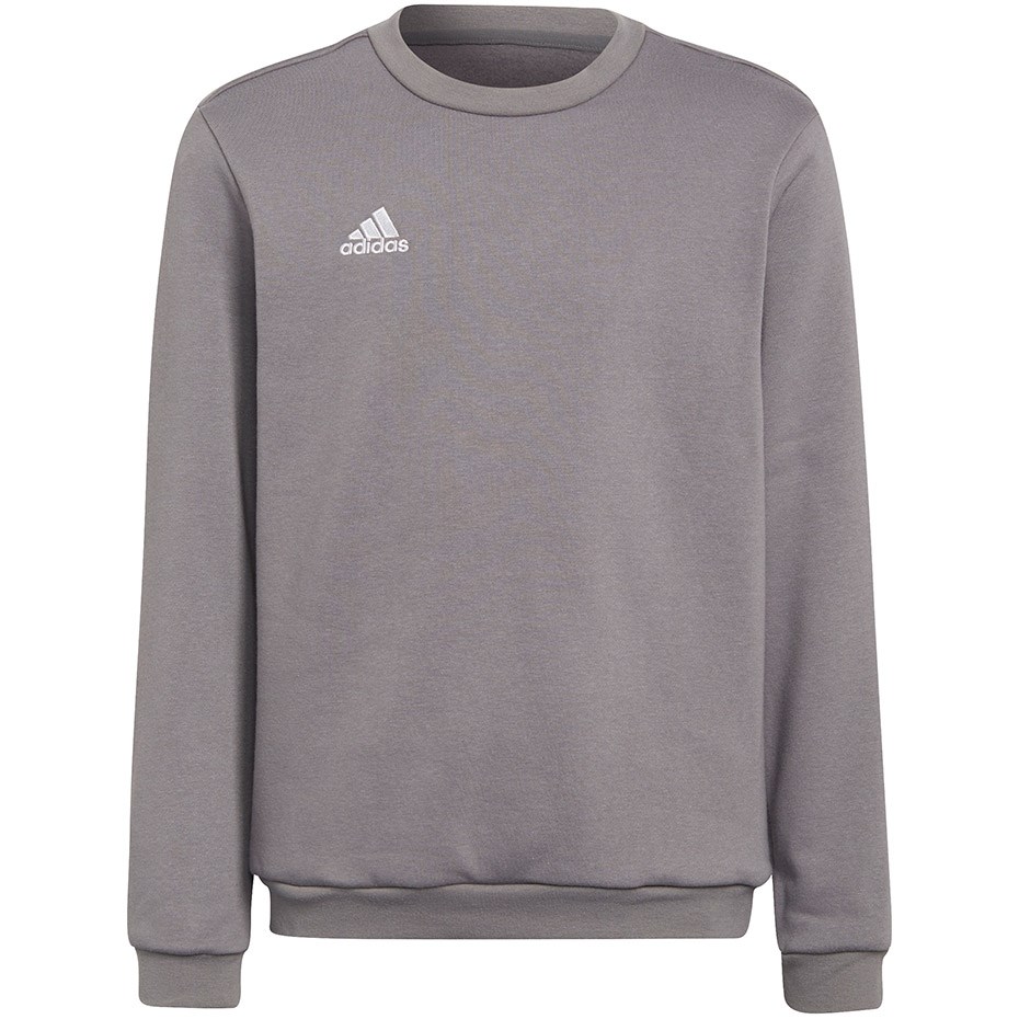 Adidas  Entrada 22 Sweat Top grey