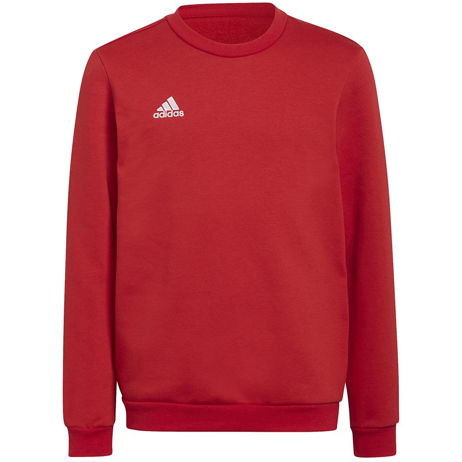 No name adidas Entrada 22 Sweat