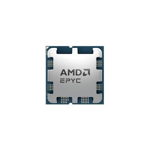 AMD  EPYC 4565P (16/32) 4.3GHz