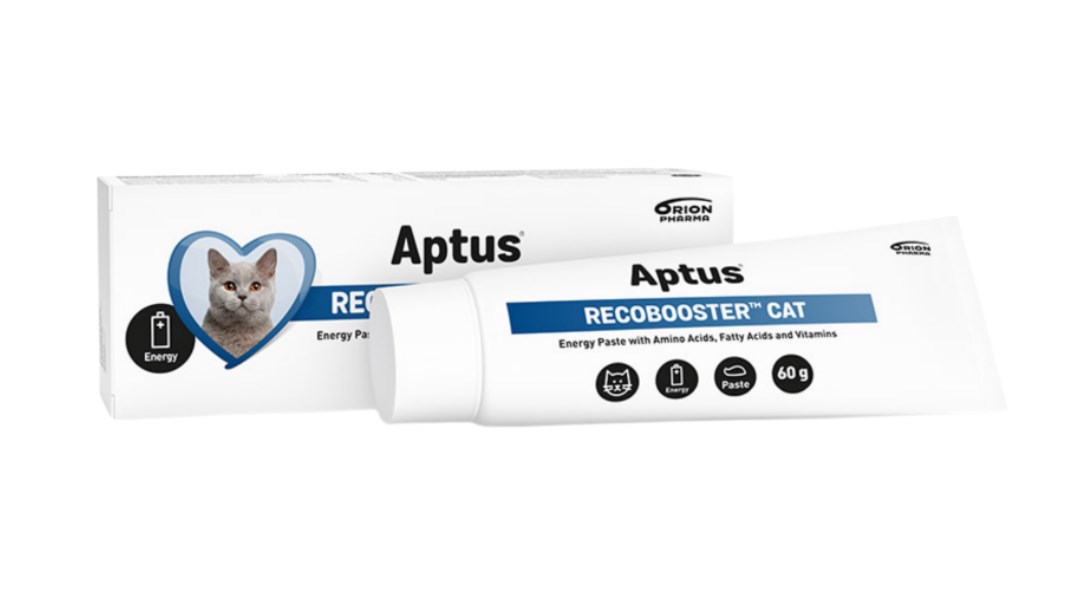 Aptus Recobooster Nutrition and appetite -