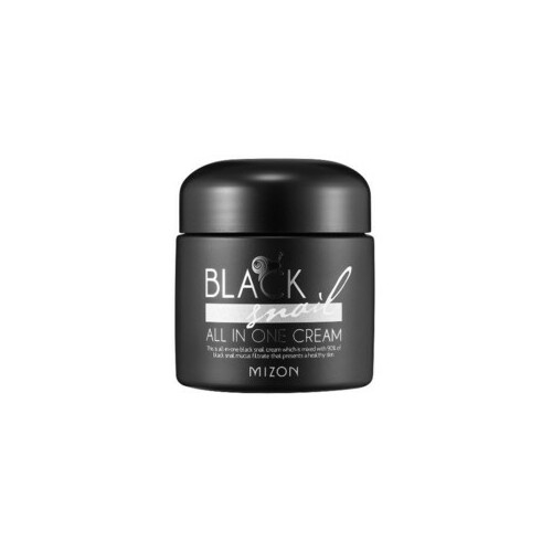 Mizon Black Snail All In One