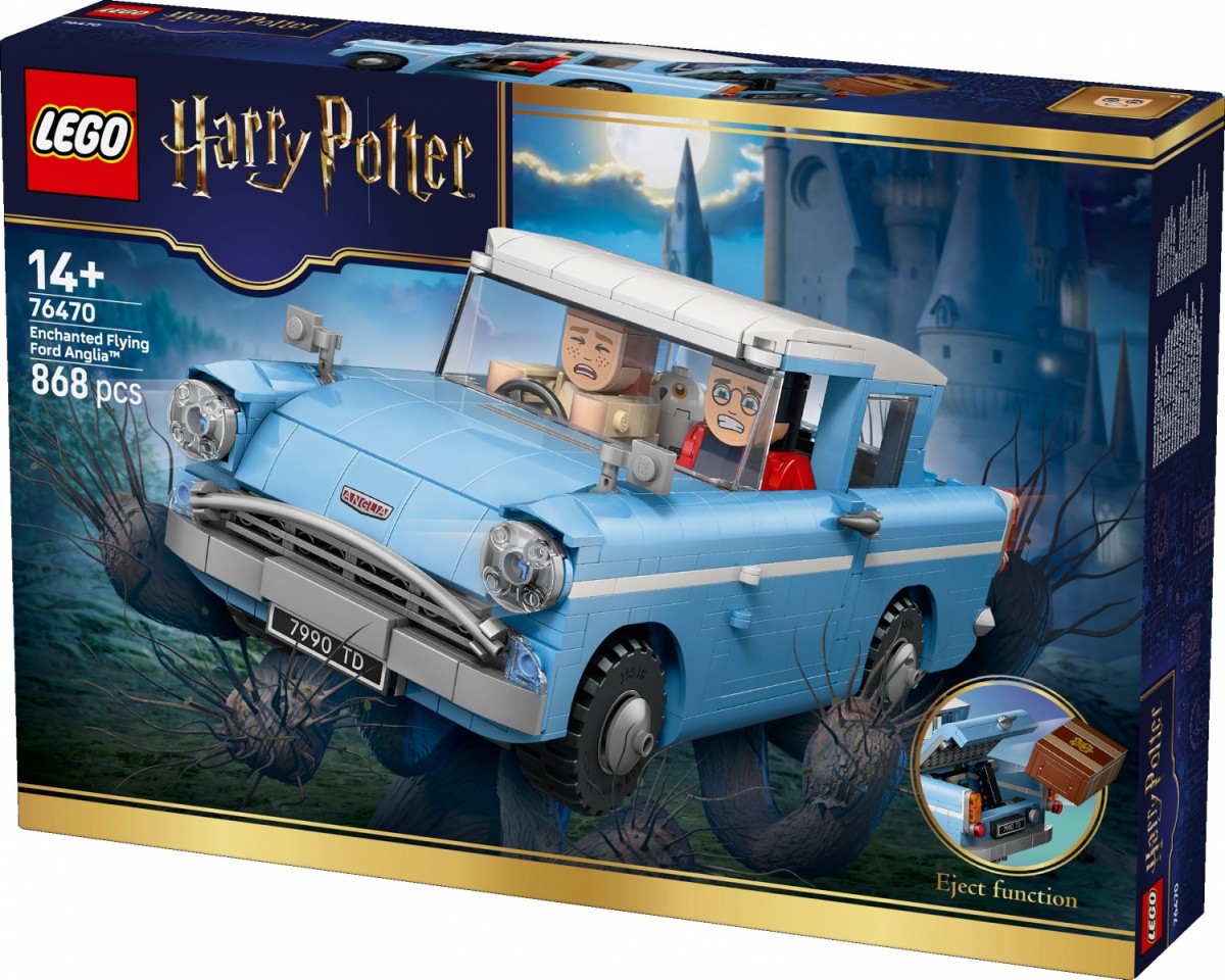 LEGO Blocks Harry Potter 76470 Enchanted