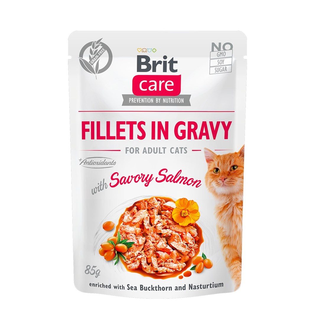 Brit  Care Fillets in Gravy salmon