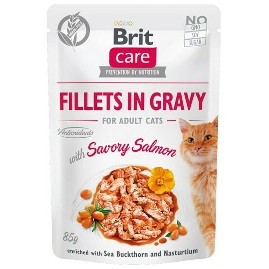 Brit  Care Fillets in Gravy salmon