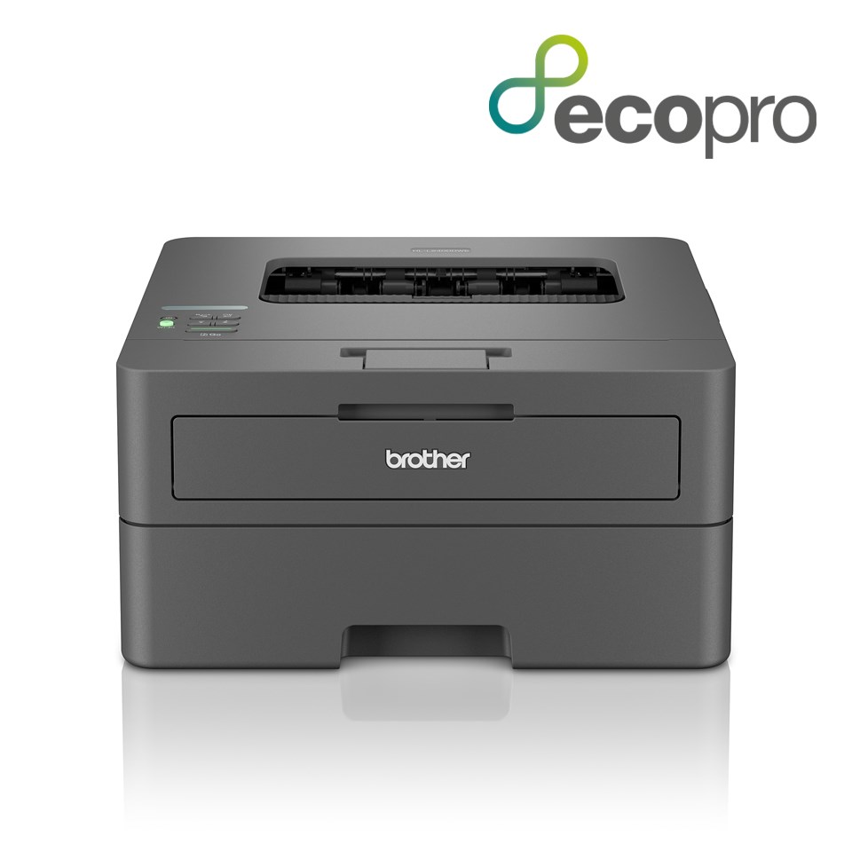 Brother HL-L2400DWE laser printer 1200 x