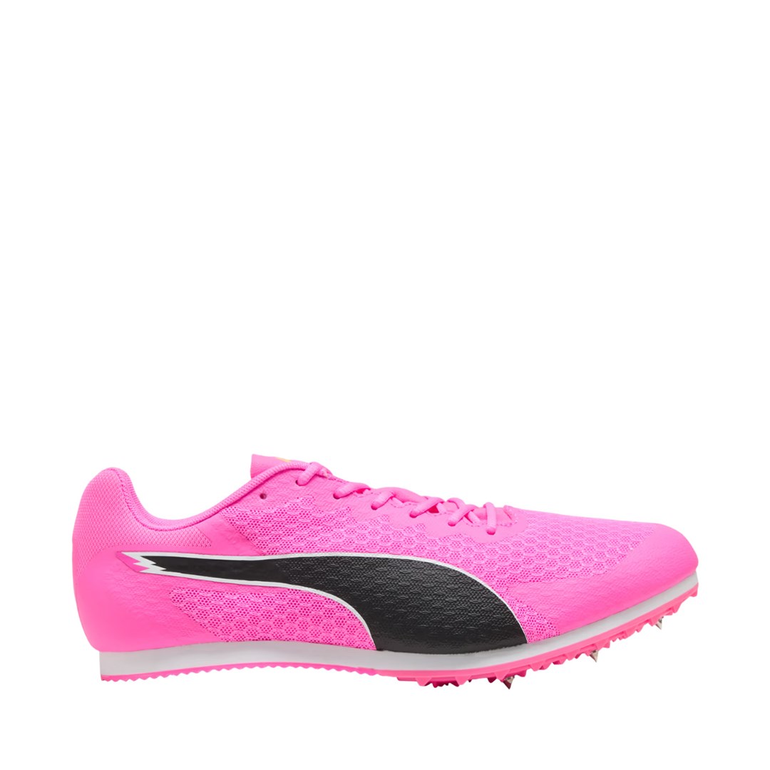 No name Buty Puma Evo Speed