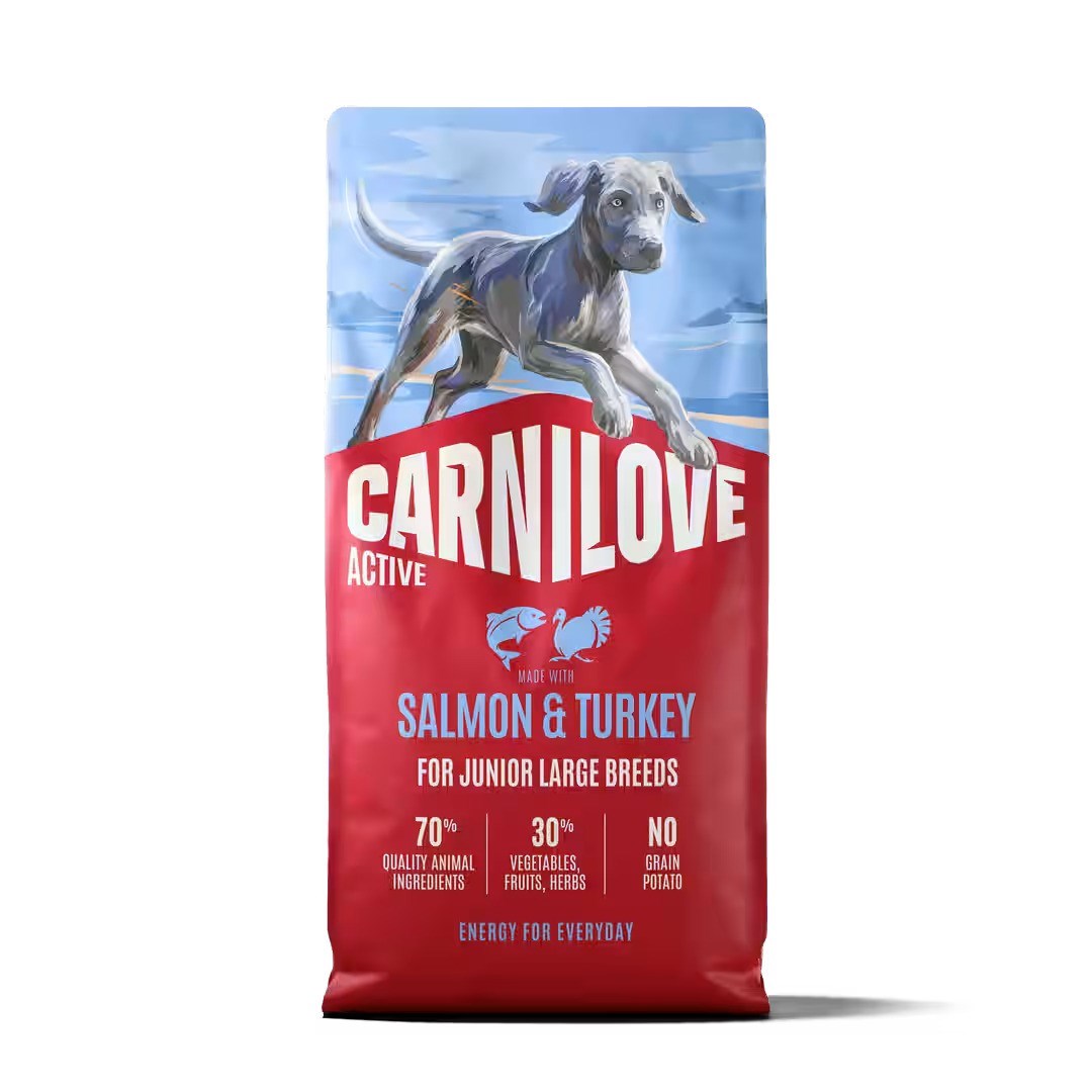 CARNILOVE Active Junior Salmon & Turkey