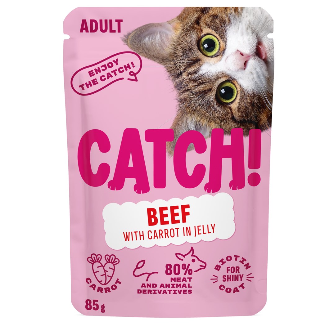 CATCH Beef and carrot in jelly