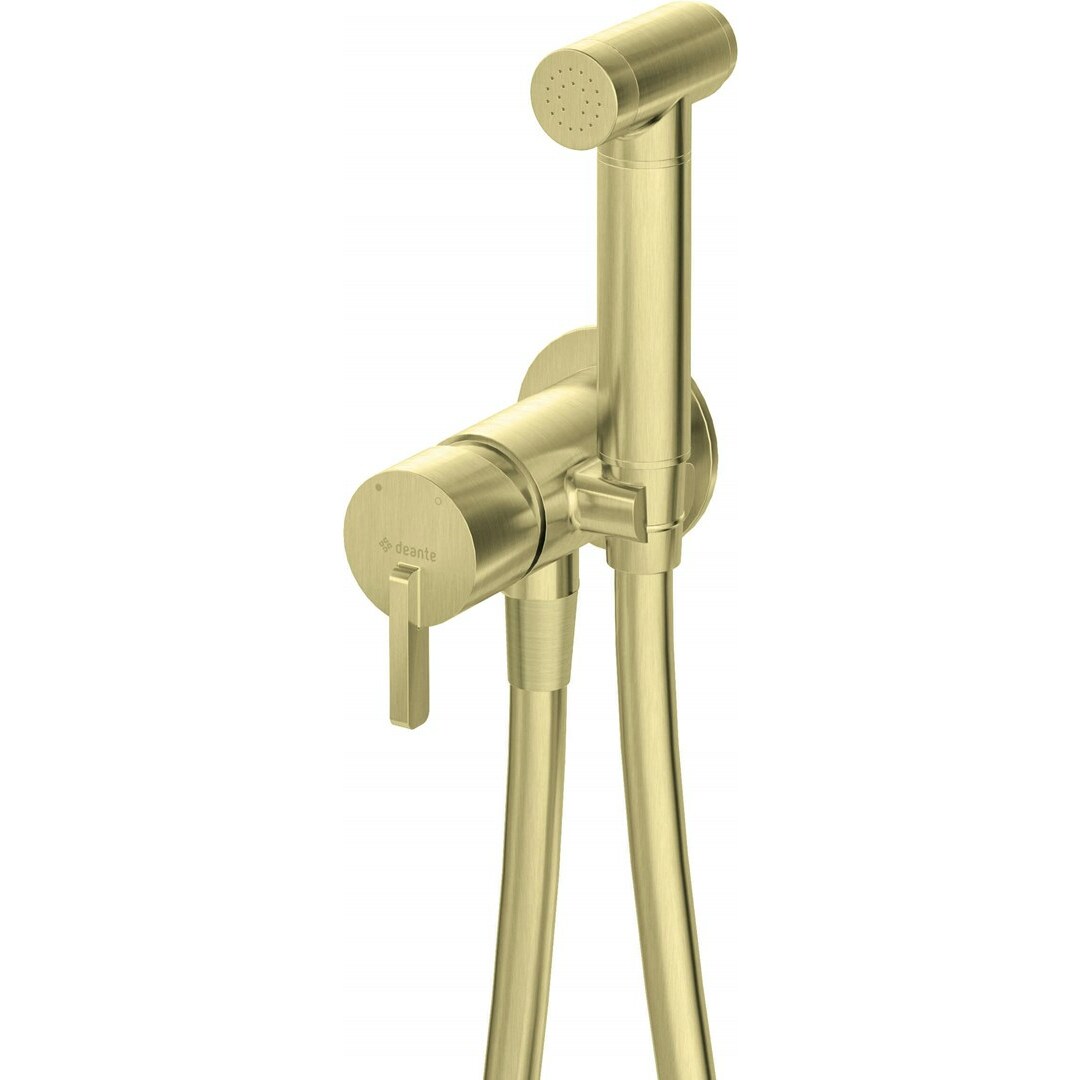Deante Concealed bidet mixer with bidetta