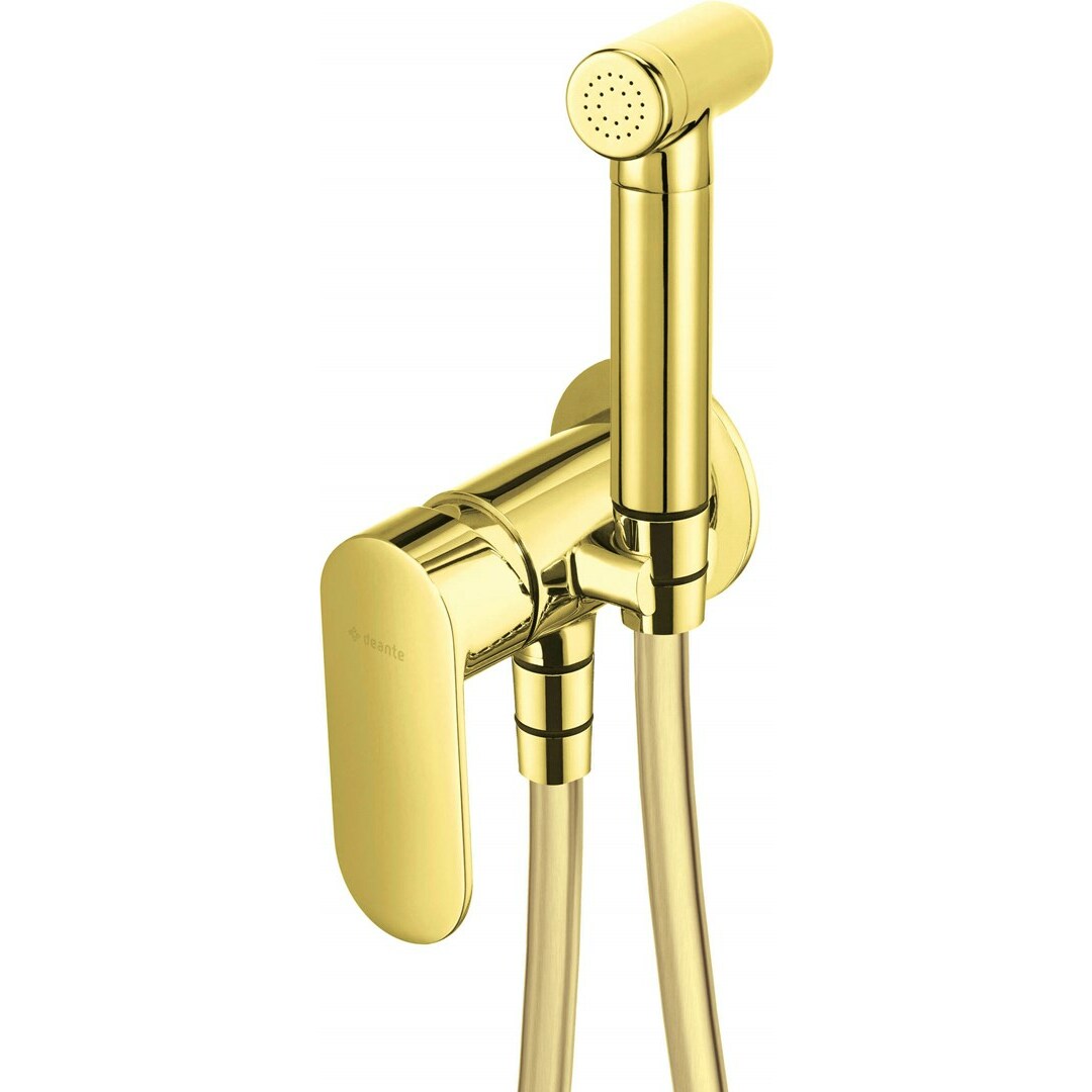 Deante Concealed bidet mixer with bidetta