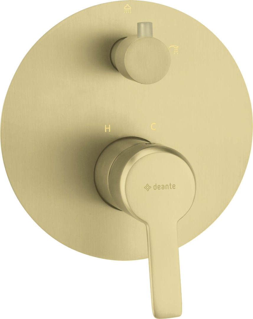 Deante Concealed shower mixer with shower