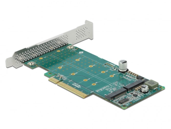 Delock  PCIe x8 to 2 x