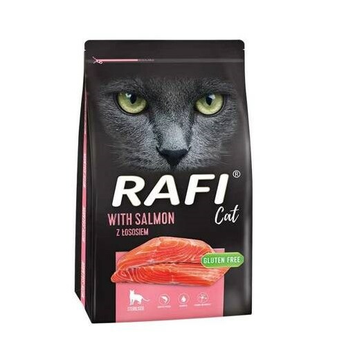 DOLINA NOTECI Rafi Sterilised Cat with