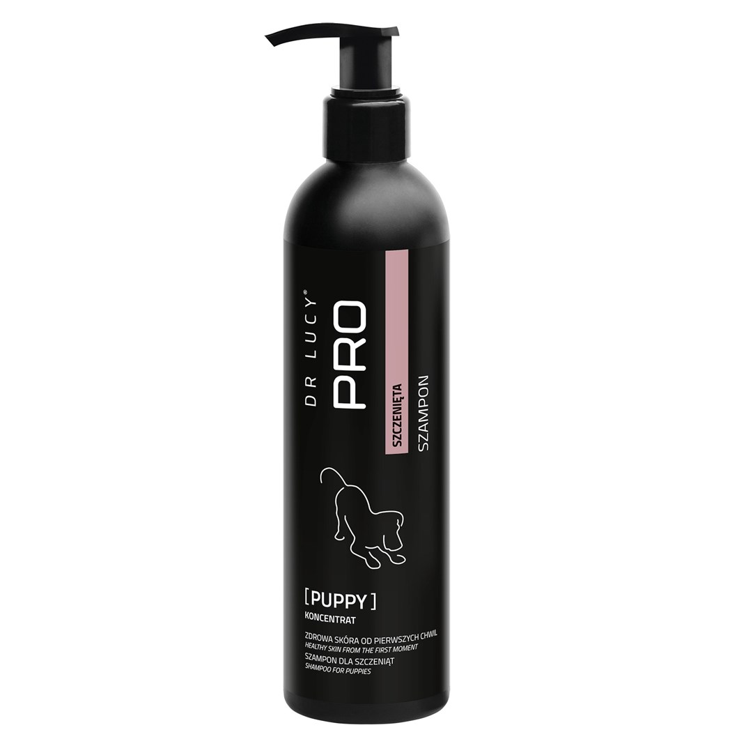 Dr Lucy  Pro Puppy – puppy