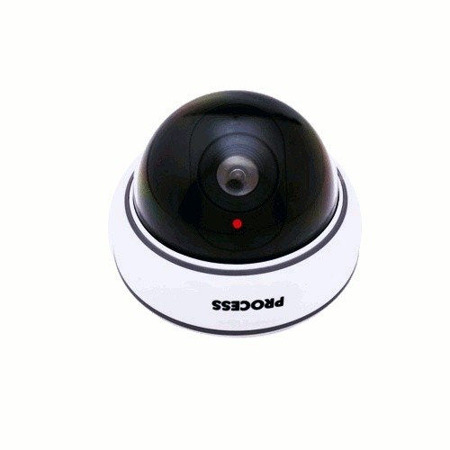 CEE  Dummy camera DC2300 | dc2300