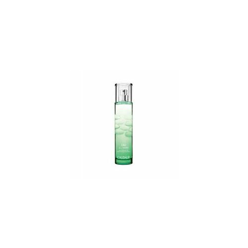 Caudalie Eau des Vignes Fresh Fragrance
