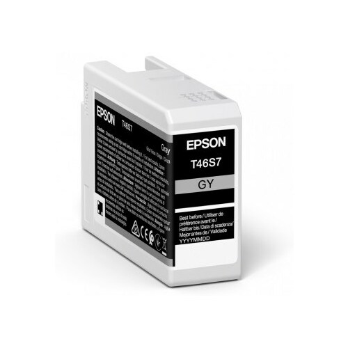 Epson Singlepack Gray T46S7 UltraChrome Pro