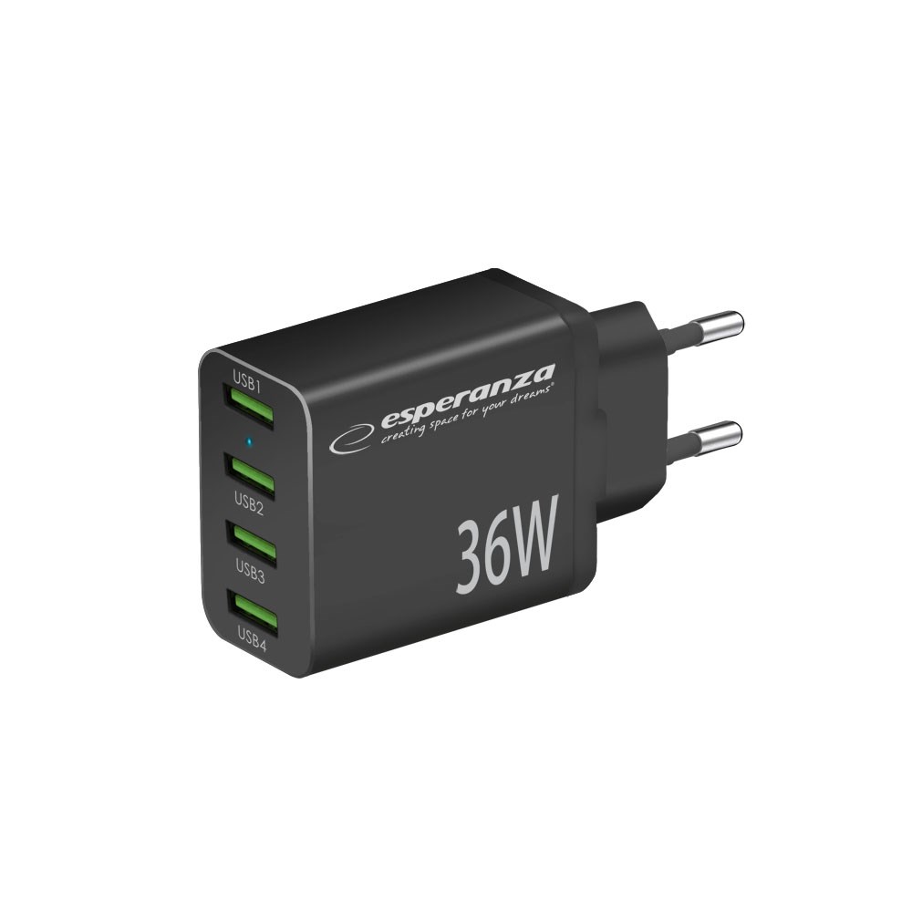 Esperanza  EZC107K mains charger 36W Black