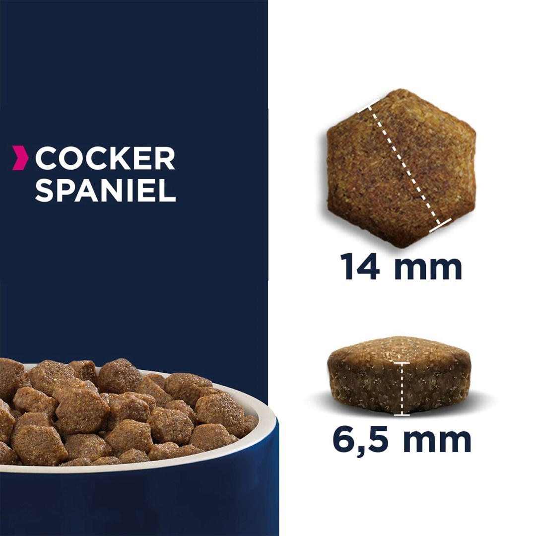 EUKANUBA Breed Specific Cocker Spaniel Adult