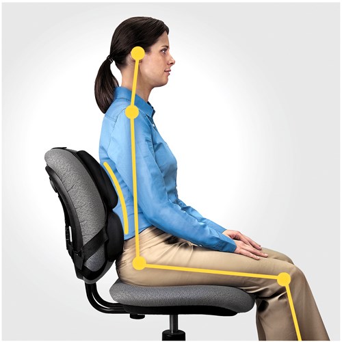 Fellowes  Ergonomics professional back support pillow