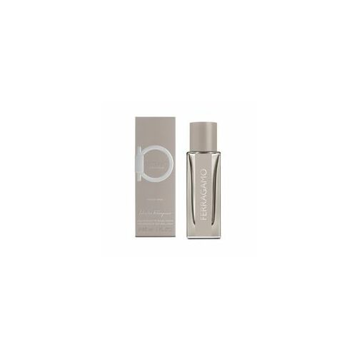 Salvatore Ferragamo Ferragamo Bright Leather EDT