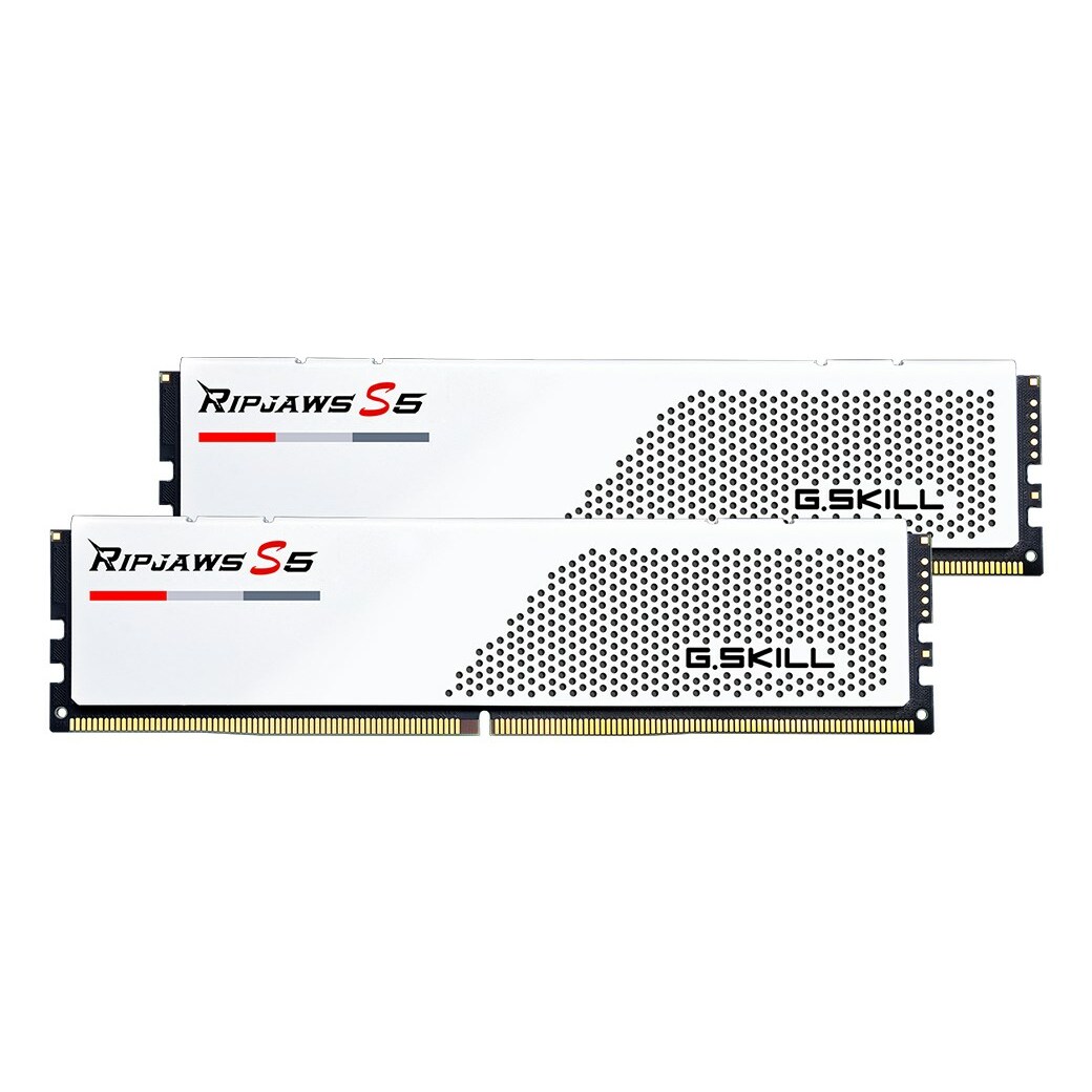 G.SKILL F5-6000J3036F24GX2-RS5W memory module 48
