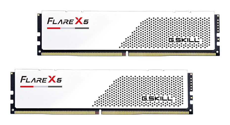 G.SKILL F5-6000J3036F48GX2-FX5W memory module 96