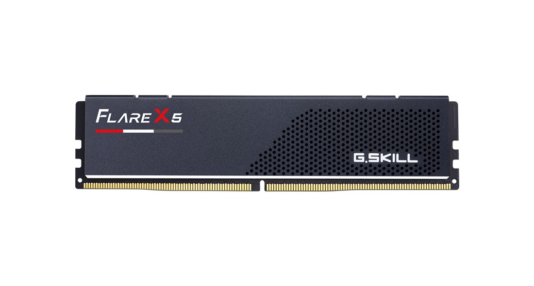 G.SKILL   Flare X5 AMD DD