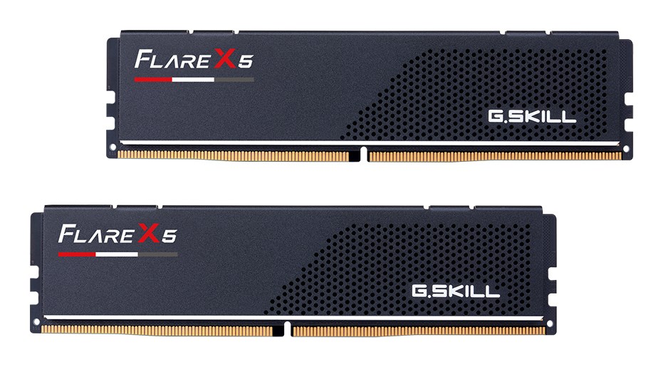 G.SKILL   Flare X5 AMD DD