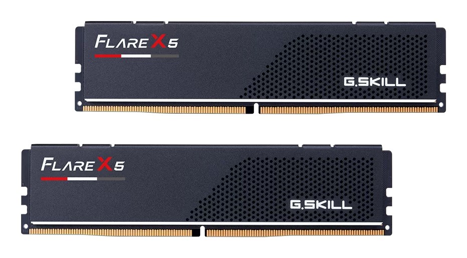 G.SKILL   Flare X5 AMD DD