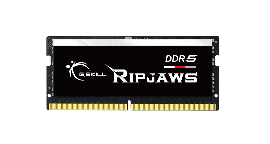 G.SKILL Ripjaws F5-4800S4039A16GX1-RS memory module