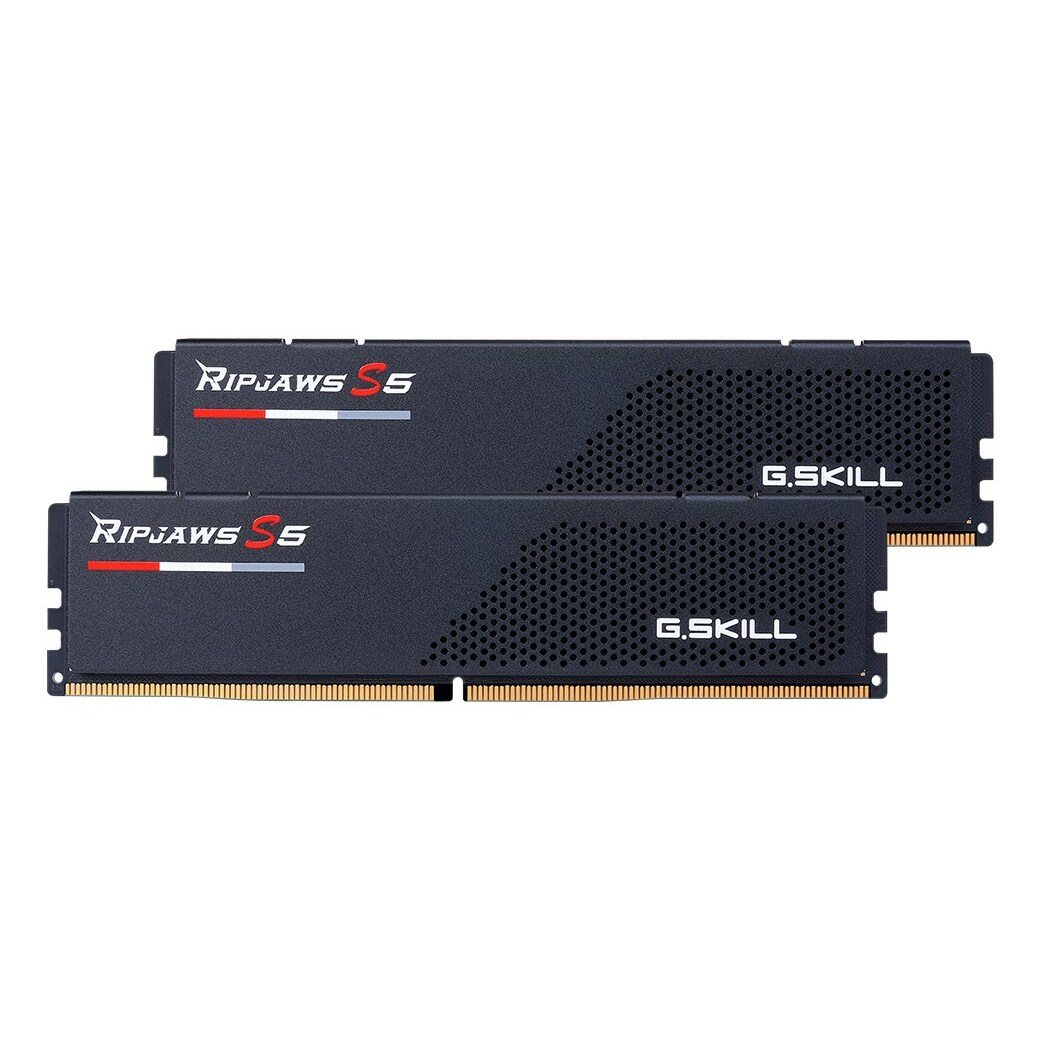 G.SKILL  Ripjaws S5 F5-5200J4040A32GX2-RS5K memory