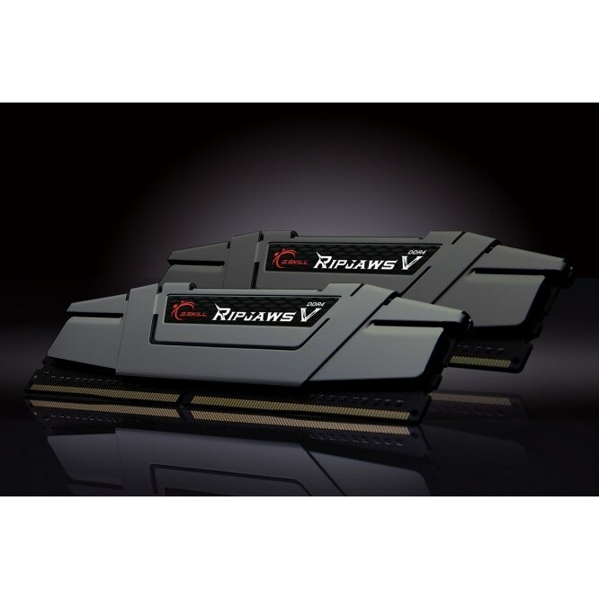 G.SKILL Ripjaws V memory module