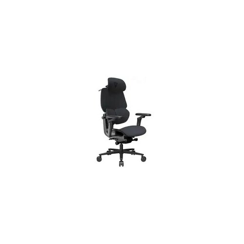 THUNDERX3 Gaming Chair  FLEX Pro -