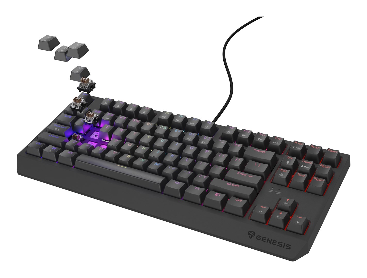 GENESIS  Thor 230 TKL Outemu Brown