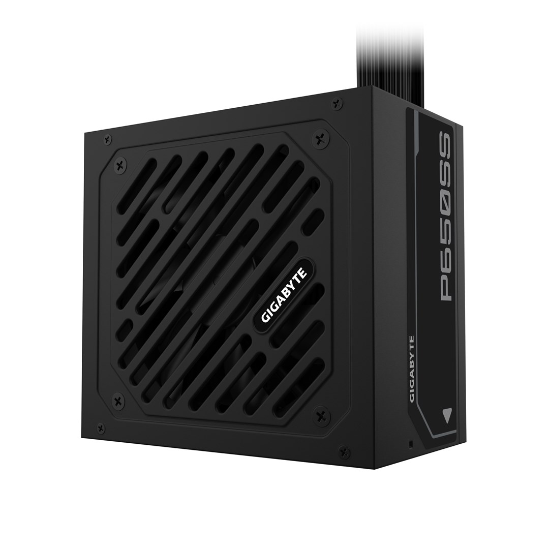 GIGABYTE  P650SS power supply unit 650