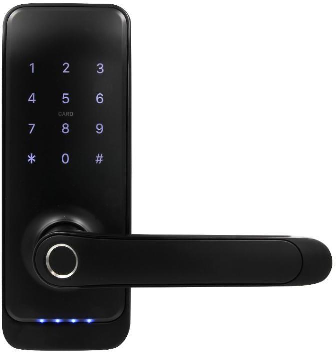 Eura Handle with access controller  ELH-01H4