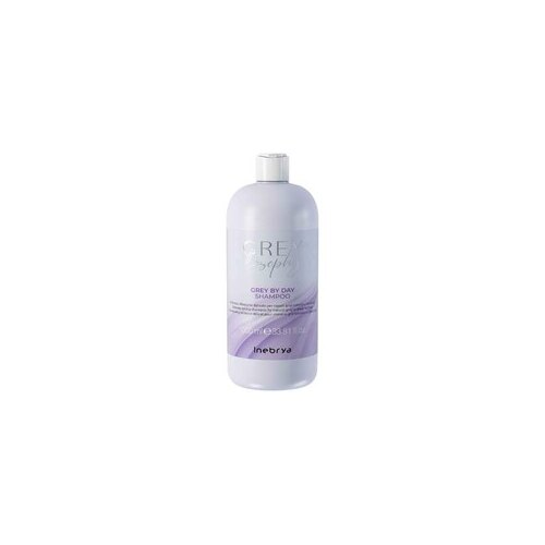 Inebrya  Grey By Day Shampoo (Unisex