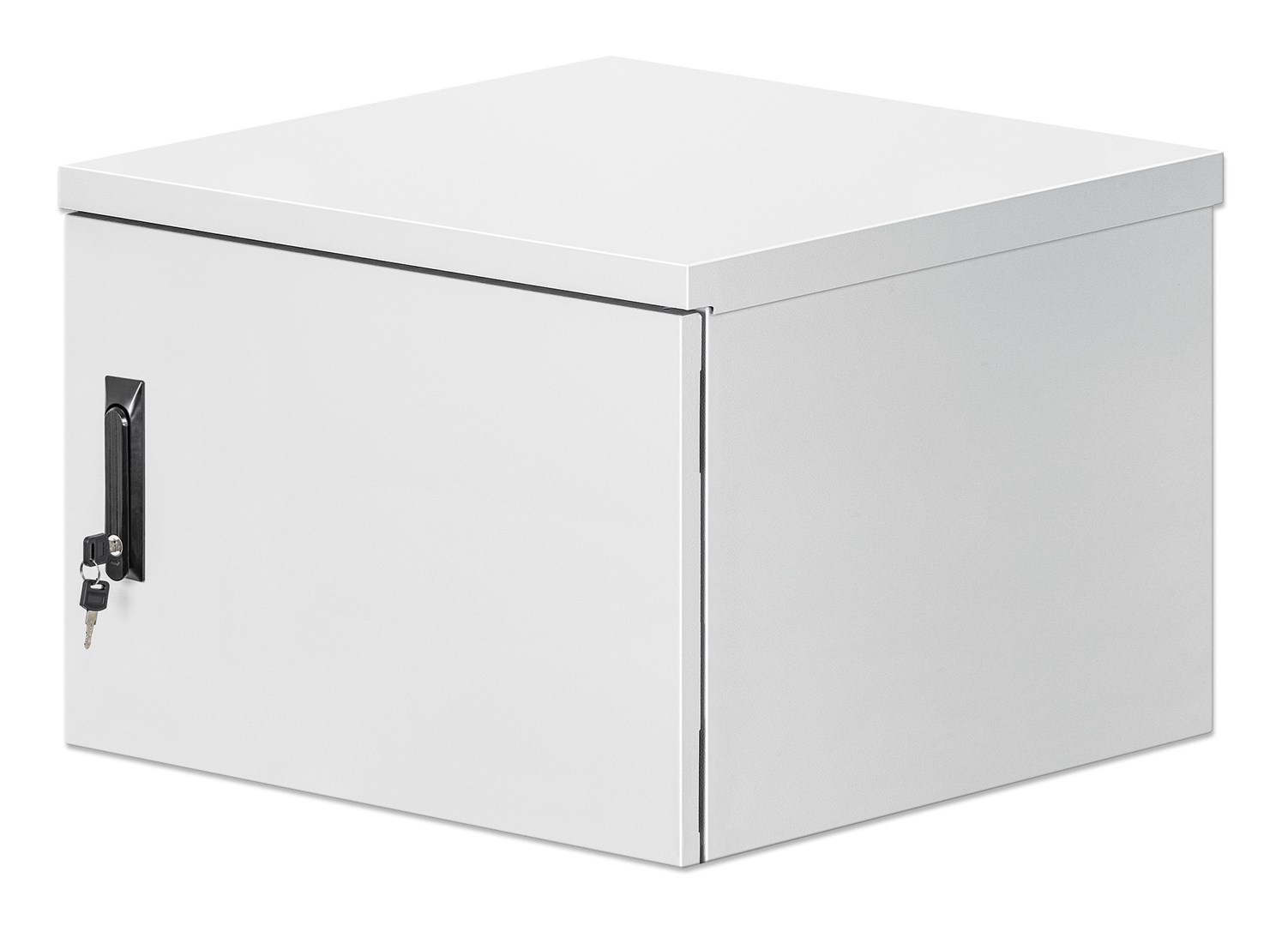 Intellinet Industrial IP55 19" Wall Mount