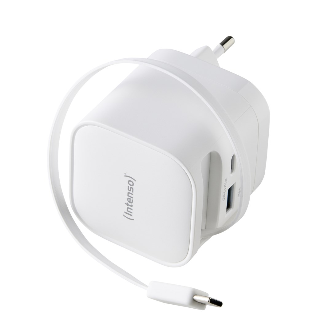 Intenso 7806520 power adapter/inverter Indoor 65