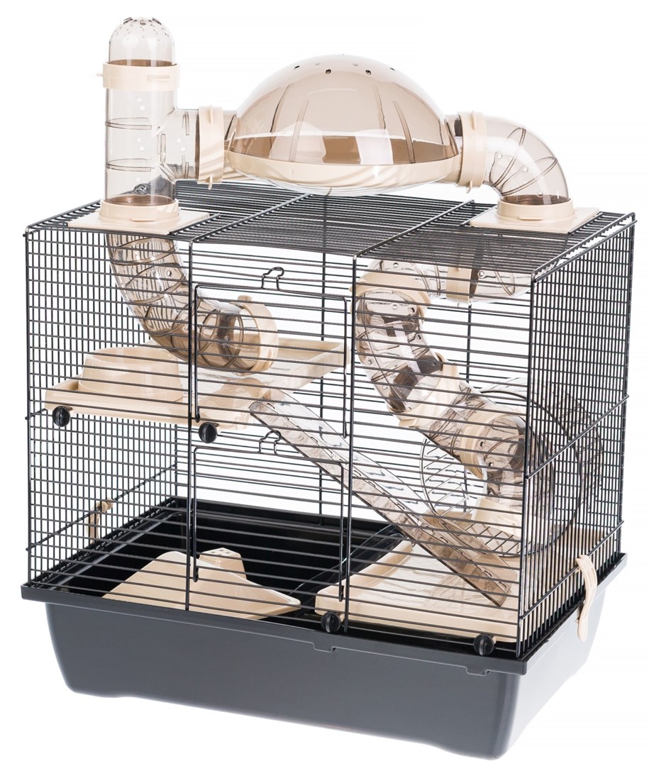 INTER-ZOO Rocky + Terrace beige -