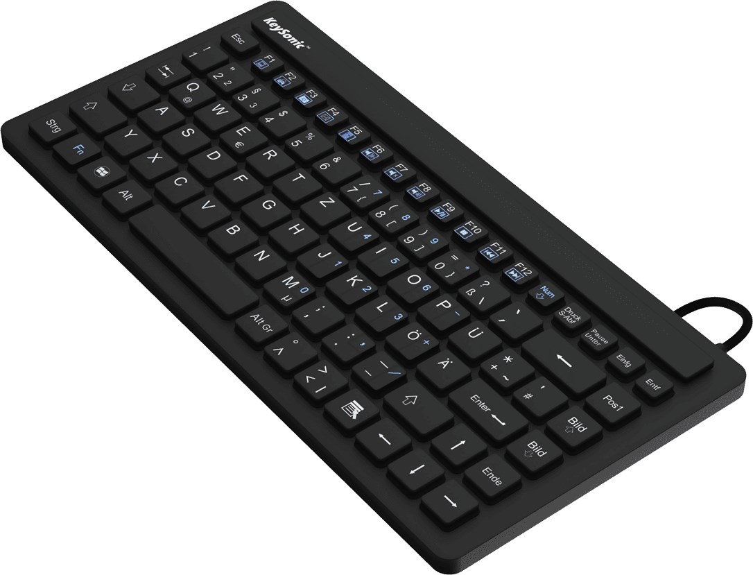 KEYSONIC KSK-3230IN (US) keyboard Industrial USB