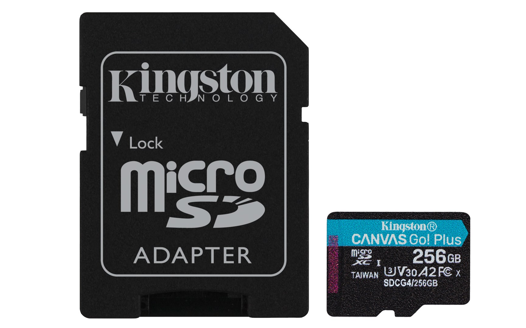 KINGSTON Memory card microSD 256GB CanvasGo