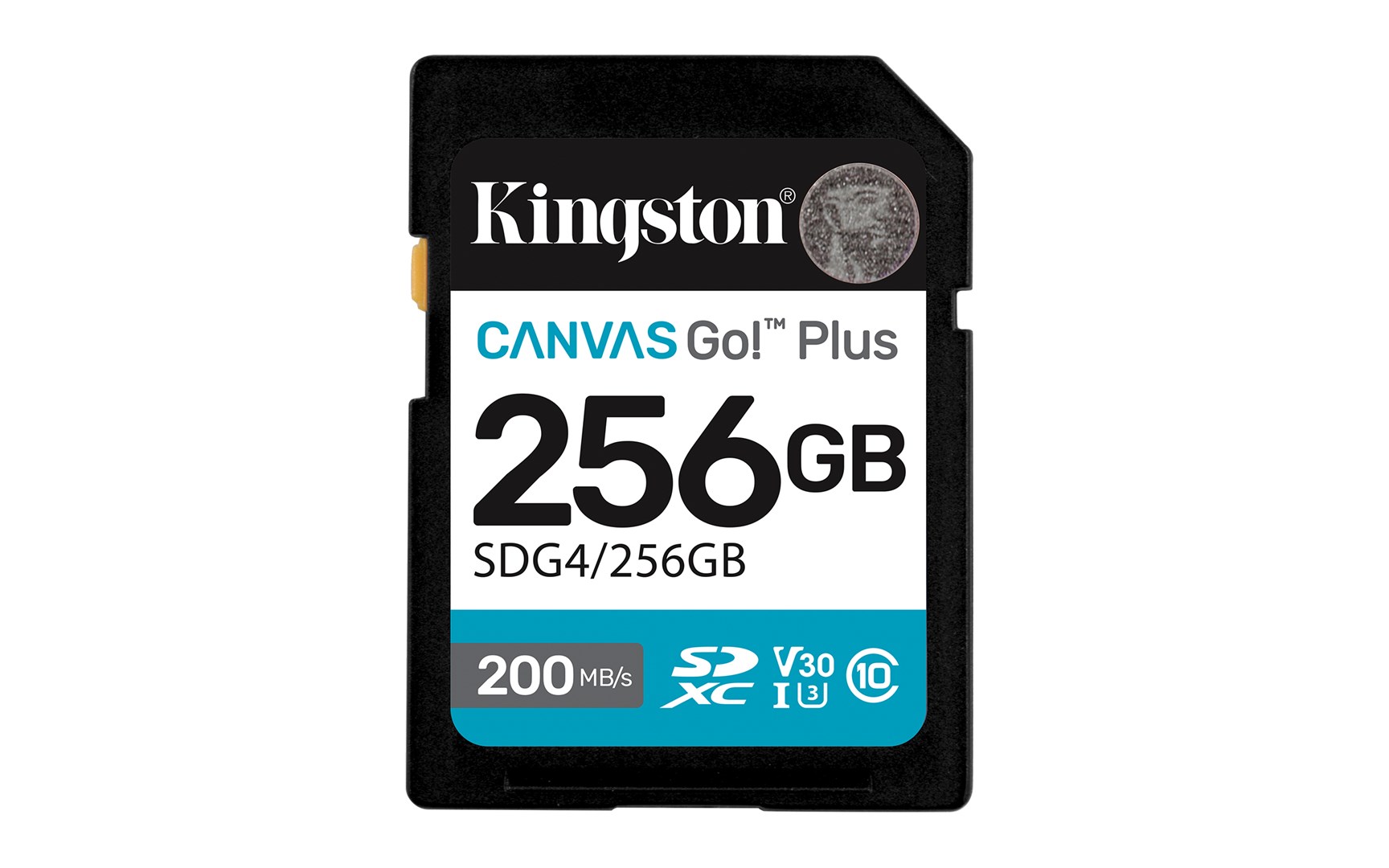 KINGSTON Memory card SD 256GB Canvas