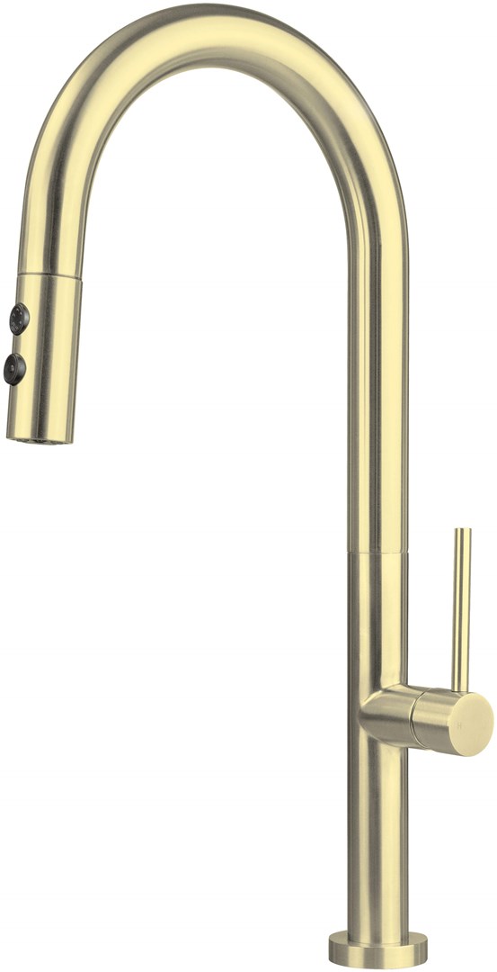 Deante Kitchen faucet w/pull-out spout -