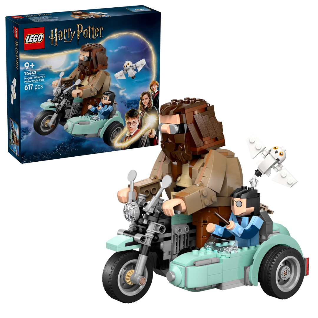 LEGO  HARRY POTTER 76443 | 76443